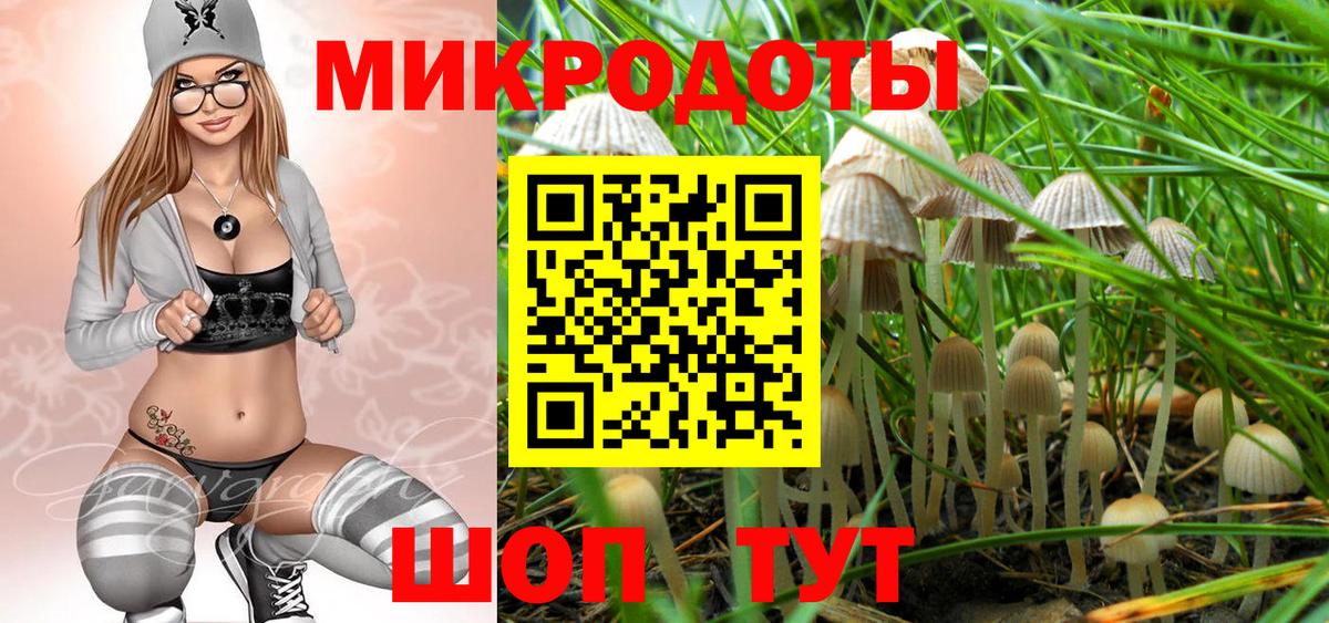 Псилоцибиновые грибы GOLDEN TEACHER  купить наркоту  Зеленокумск  Вход с VPN 